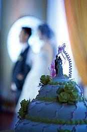 被砍游戏《黑鸟计划》前开发者组建新工作室Sackbird